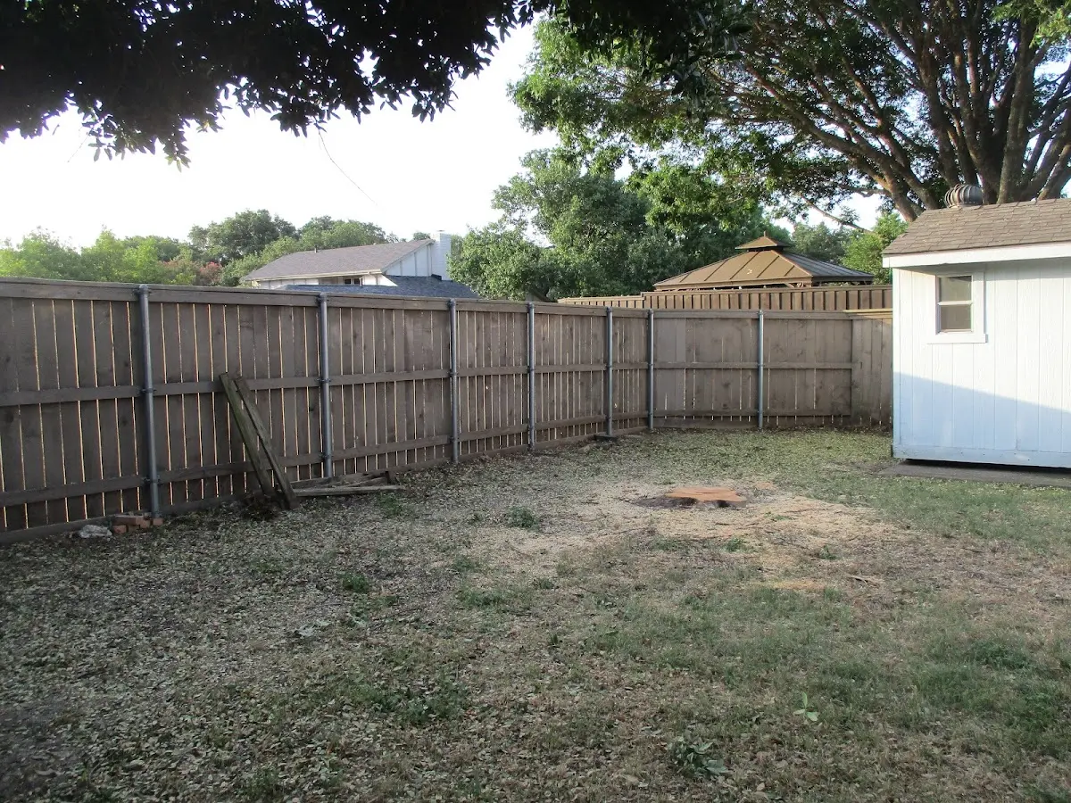 Cleared yard after professional tree removal in Savannah